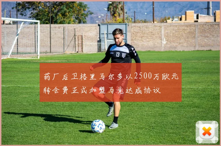 药厂后卫格里马尔多以2500万欧元转会费正式加盟马竞达成协议