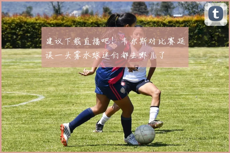 建议下载直播吧！韦尔斯对比赛延误一头雾水球迷们都去哪儿了
